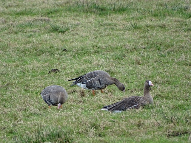汇祥花园优质结构